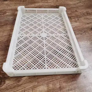建伟塑业单冻器 塑料冷冻盘 晾晒盘烘干盘 供应冷冻速干盘 注塑产品代加工业务