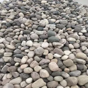 荣茂彩色鹅卵石厂家 景观摆放 滴水檐 公园铺路鹅卵石规格齐全