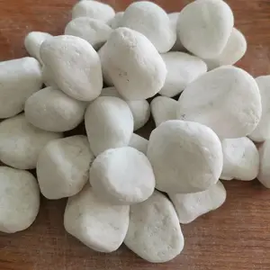 供应园林景观白色卵石-磨圆白色20-30毫米-园艺庭院白色石子-路边散放白色砾石