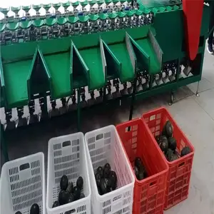 ������˳�����ϹϷ�ѡ��ˮ���ּ���ˮ����ѡ�����������ּ���