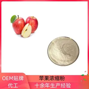 苹果浓缩粉 鲜果浓缩粉 食品饮料原料 果香味浓