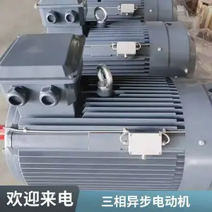 三 相异步电动机 双轴 三相交流电机