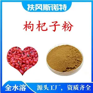 枸杞子粉 斯诺特生物 食品固体饮料原料 支持来料代工