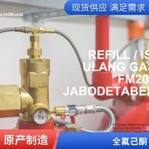 清洗机/刻蚀机配套消防设备 安素HPCO2 FM认证 半导体设备自动灭火