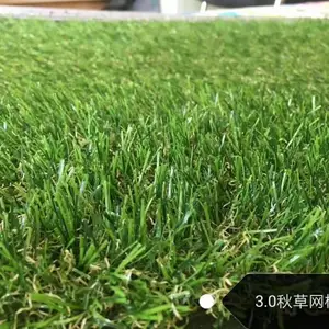 ��Ӧ�ɶ��������ز�ƺ��ƤΧǽ
