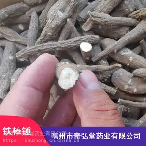 ����������õ����ҩ�İ˰ٰ�_ζ��˰ٰ���Ӧ