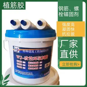 ���������ֲ� ����ǽ�ֽ�ê�̼� ������֬�ӹ̽ṹ��