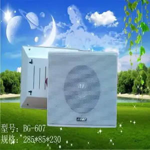 ����ͥԺ�ƾ��۵ƹ�԰����CP-204A