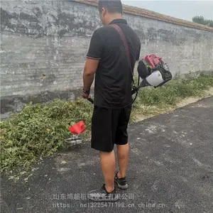 ԰�ָ��� ���Ա���ʽ��� ��԰���ݸ�ݻ� ����������