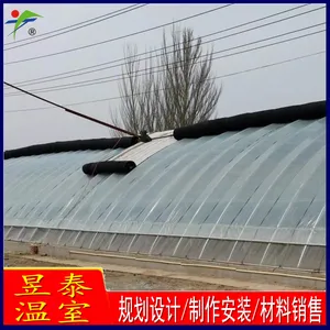 ��̩ �չ����ұ���ů�� �߲���ֲ��Ĥ���� YTWSRG12109A