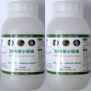 捕食螨加州新小绥螨***红蜘蛛白蜘蛛茶黄螨害螨及蓟马天敌防控
