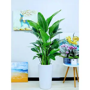 ��ֲ���� ������Ȧ�����ɹ� Ʒ�ַḻ�۸�ʵ�� Ʒ�ַḻ�۸�ʵ��