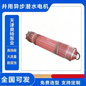 矿用潜水电机 大功率高压三相异步电动机 天津厂家现货供应