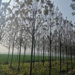 ����۸� 5�������װ���۸� 6���������������