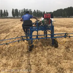 �����ĳ��ũ���ҩ�� ���ʽ�����ҩ�� ԰��ֲ��������
