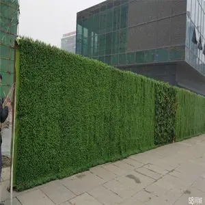 ��ֲ����� �����ƺΧ��ʩ�� �̵�����Ƥ