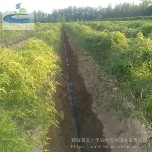 蔬菜地节水灌溉用迷宫式滴灌带优点及造价