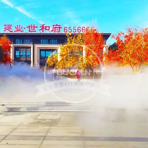 ʲô��������Ӧ����ɭϵͳ��