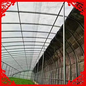 ˫�㹰���ڱ��´��� ��ֲ���� ������������ �߲˴���