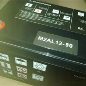 �żҿ�÷���������ش�����M2AL12-10012V100AH