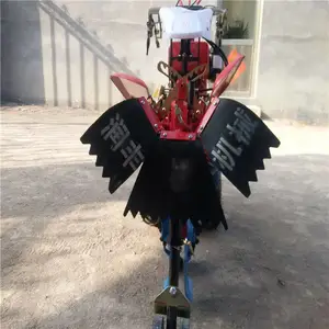 ��԰���������� �๦����԰������ �ְ���ת�����