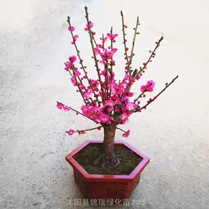 ��������÷�辰 ÷�� ��÷׮ ��÷�� ��ɰ÷����÷����÷