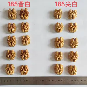 185���ͷ·�����ʳ��� ���깩Ӧ ������� ��ó�������̼�