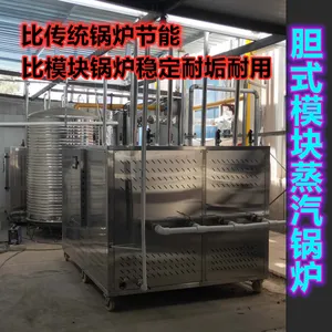 新型节能环保锅炉绿色能源创造舒适生活模块式燃气蒸汽发生器