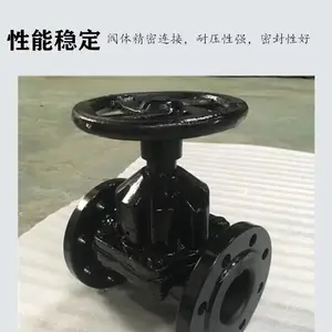 �ϸ߷������� G46J-10Cֱͨʽ�Ľ���Ĥ�� ���ֲ��� �������� �͸�ʴ