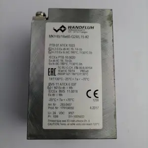 WANDFLUH����MKY45/18*60-G24/L15������ֱ��ʪʽ�����Ȧ