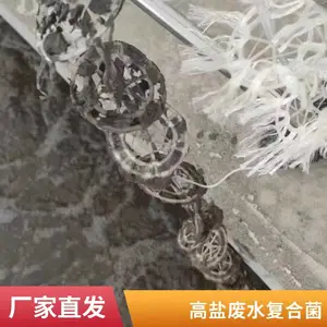 印染废水含盐处理耐高盐好氧菌种 复合菌种 活性污泥强化菌