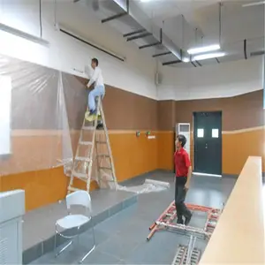 ���������������� ��������ľ�������峧������