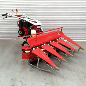 �������ݸ�� С����ޣ���ݸ�ɹ�� ��������ʽС���ո��