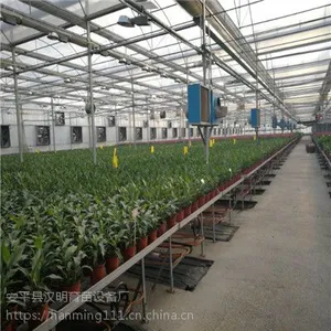 定做大棚育苗床-汉明移动式育苗床-专业苗床制造商