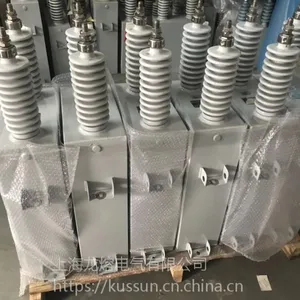 ���� ��׼�̱� ������ð �Ϻ����۸�ѹ��������BFM6.3-100-1W