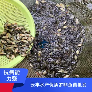 ����̨�����ʺ����޷����� ˮ���ƹ� �Ʒ��޷������ѧ�滮��ֳ