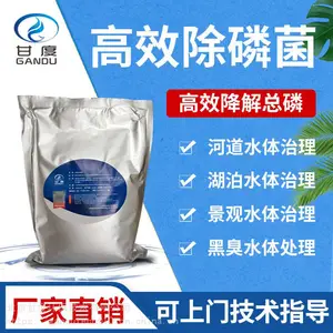 厂家批发生物除磷菌剂 河道治理湖泊治理专用 技术指导