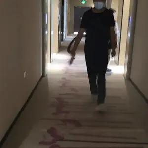 聊城除甲醛,灭蚂蚁,灭蟑螂,夏季灭蚊蝇
