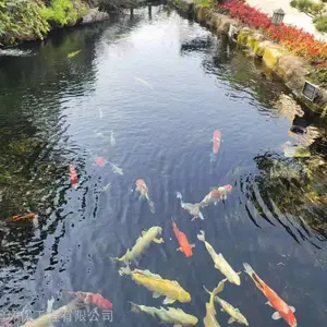�����й������ˮ����ϵͳ��ư�װ �������軻ˮ