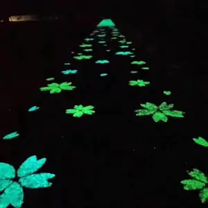 夜幕降临之后——绝美夜光路面