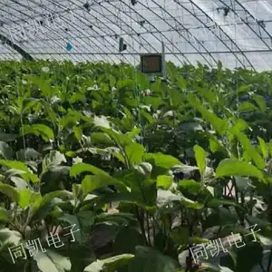 甘肃M202补光灯招商 客户至上 西安同凯电子科技供应
