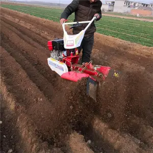 ������п����� ��ֲ��¢������ ����Ĥ������