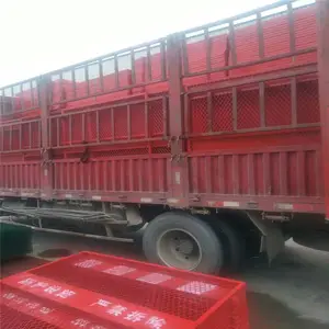 ���� ����ʩ��Χ���� С��п��դ�� ��·���ӽ���Χ��