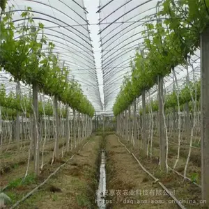 ����������ֲ����õ����������������� ��ũũҵ �ĺ���ľ�޽�