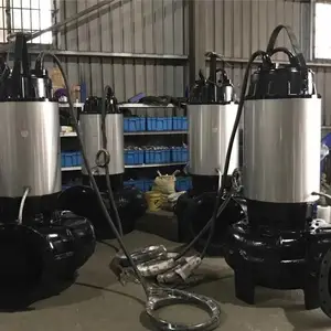 大流量污水泵|不锈钢热水潜水泵选型_污水污物潜水泵