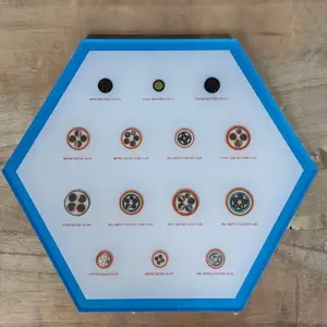 家装入户线-WDZCB-BYJ-10mm2主线中业电缆