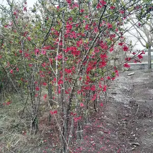 ���������������� 2�׸��������� 3�׸������������� ���ź���