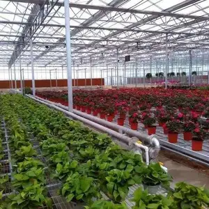 青州鑫泽温室/玻璃花卉市场/花卉玻璃温室/智能玻璃温室加温