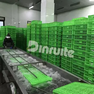 �������Ͽ���ϴ����һ��� ȫ�Զ���ת������ϴ�豸