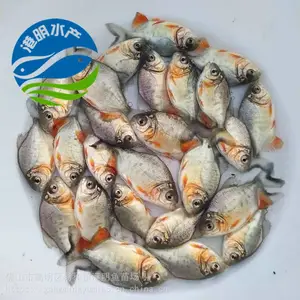 ���۵�ˮ���������� ¦������ˮ�ּ��������������� ����������